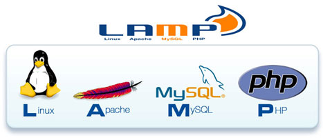 LAMP Stack Developer - Linux, Apache, MySQL, PHP Job Resume